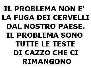 Allegato