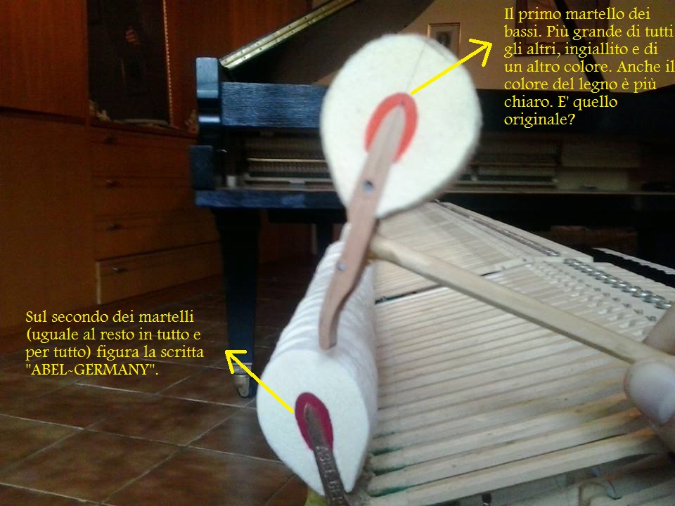 Allegato
