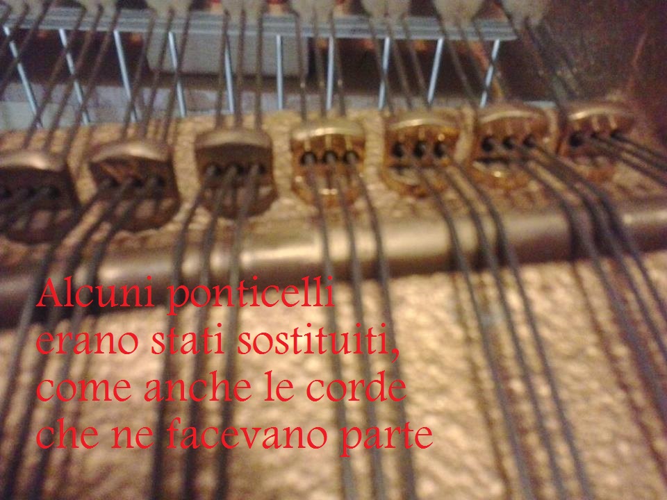 Allegato