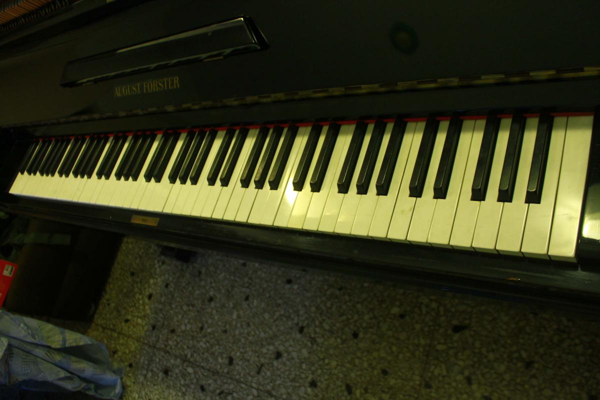 Allegato