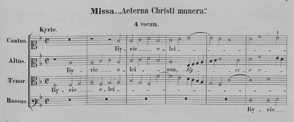 Allegato