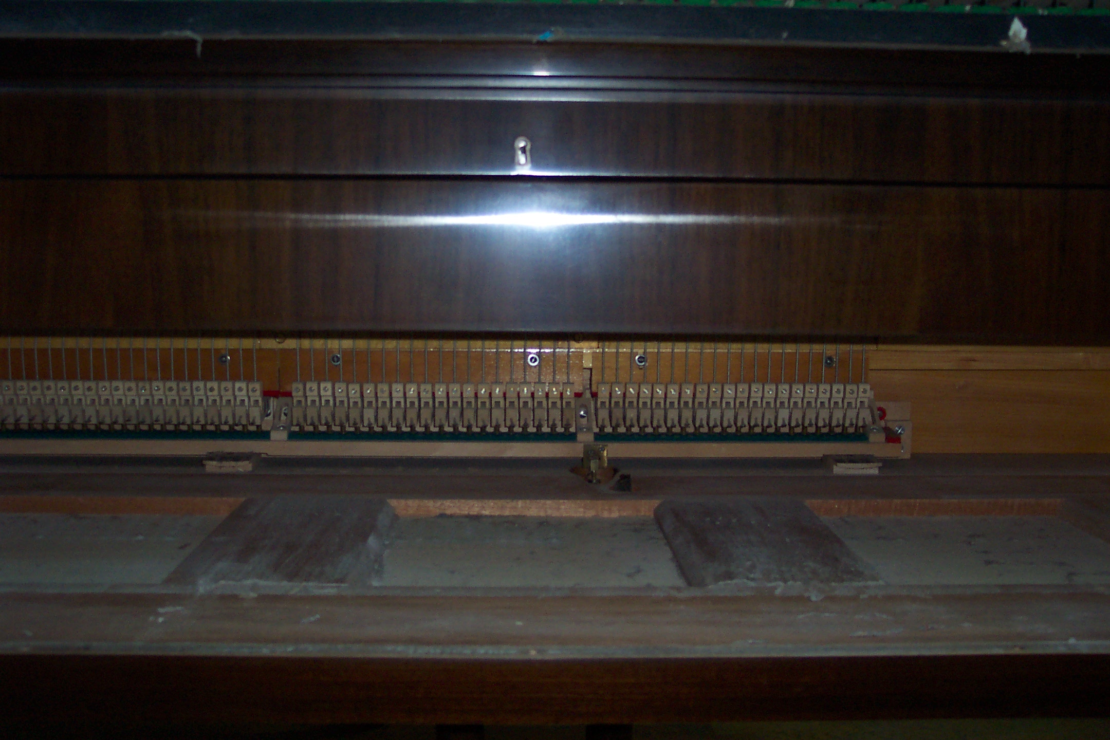 Allegato