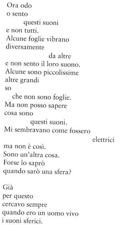 Allegato
