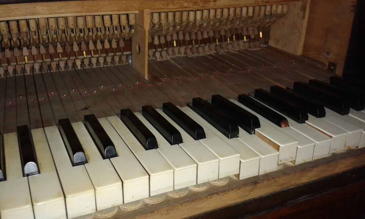 Allegato