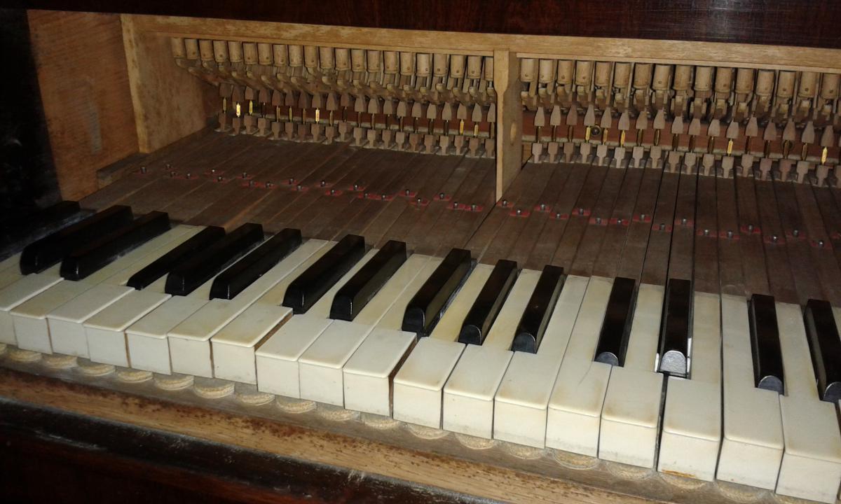 Allegato