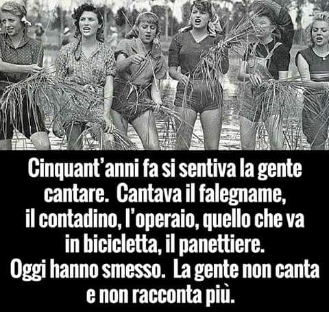 Allegato