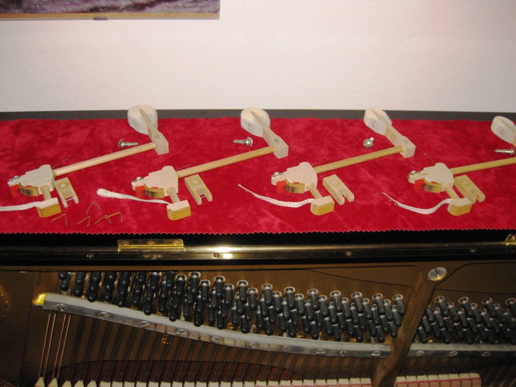 Allegato