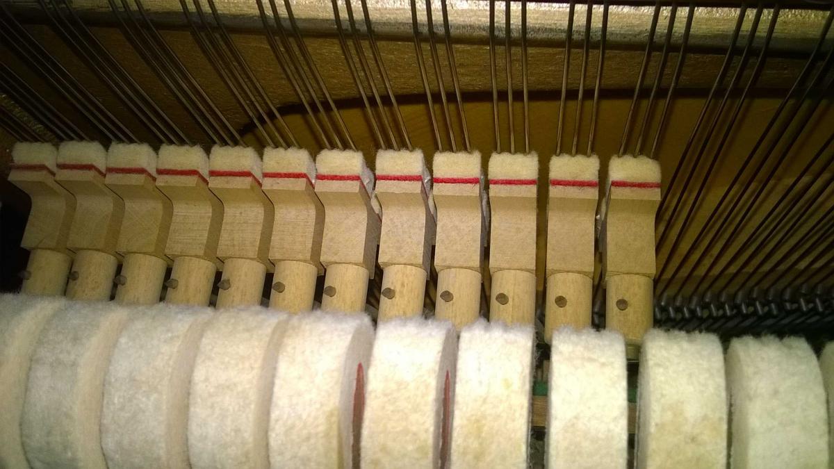 Allegato