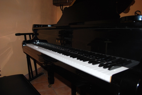 Allegato