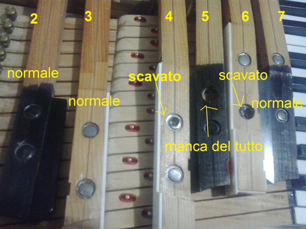 Allegato
