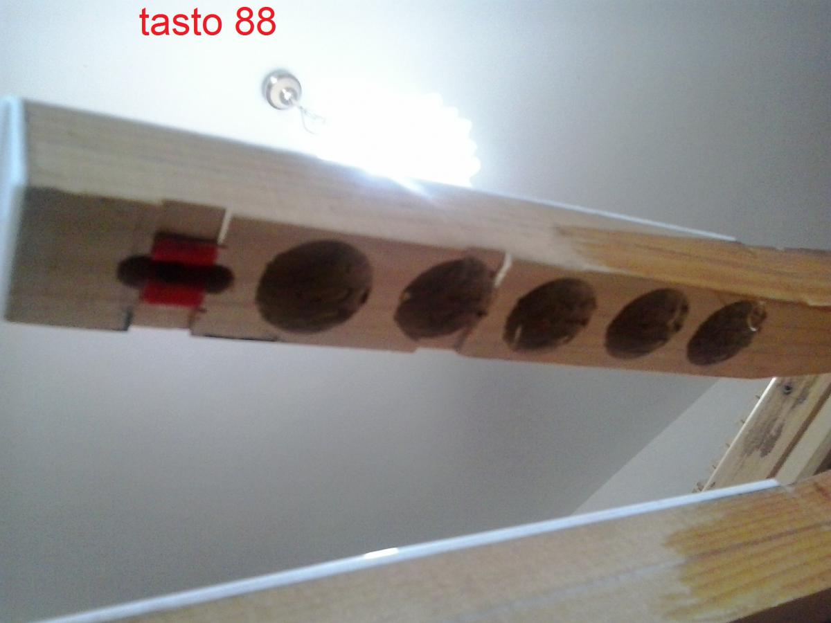 Allegato