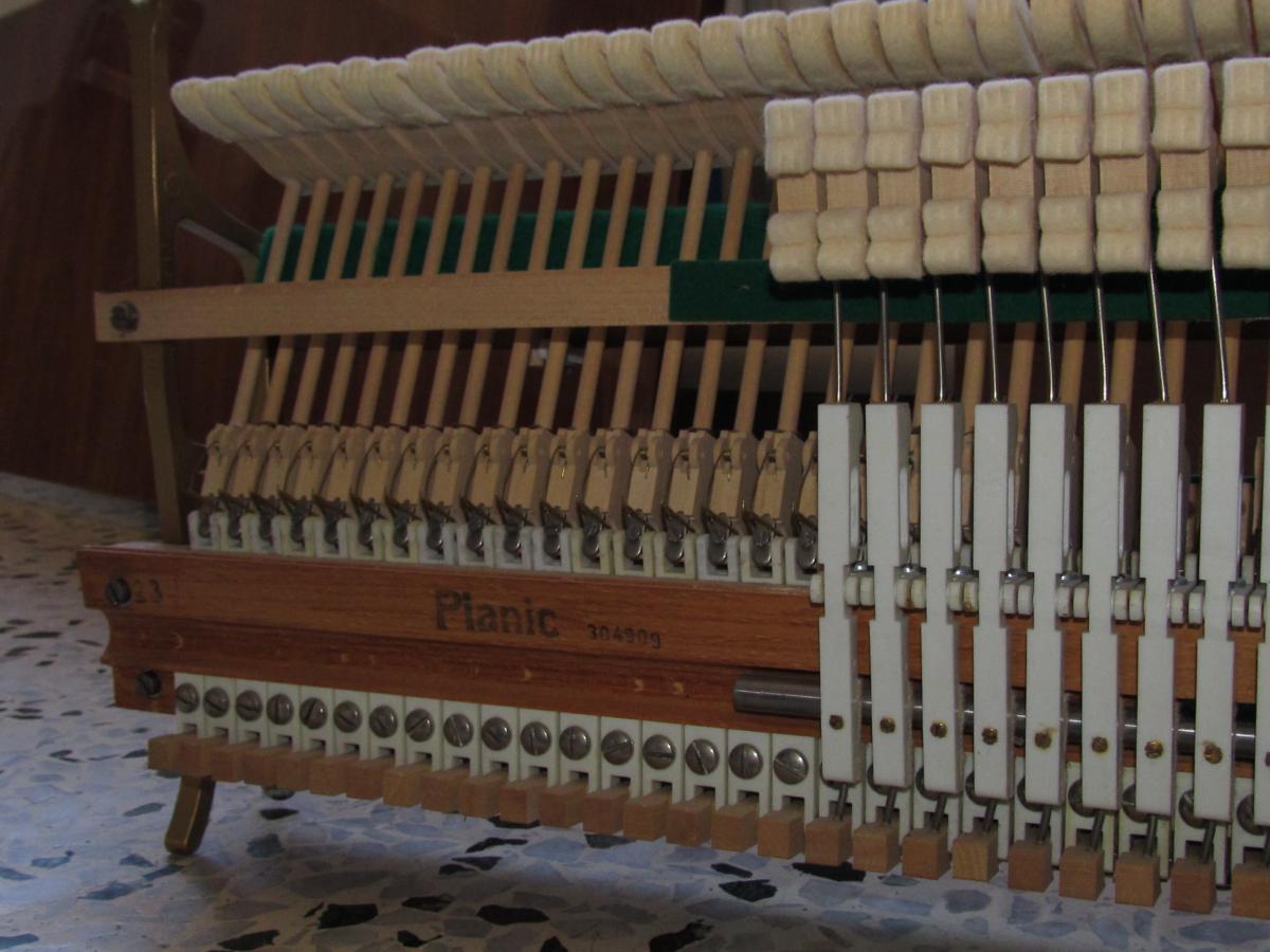 Allegato