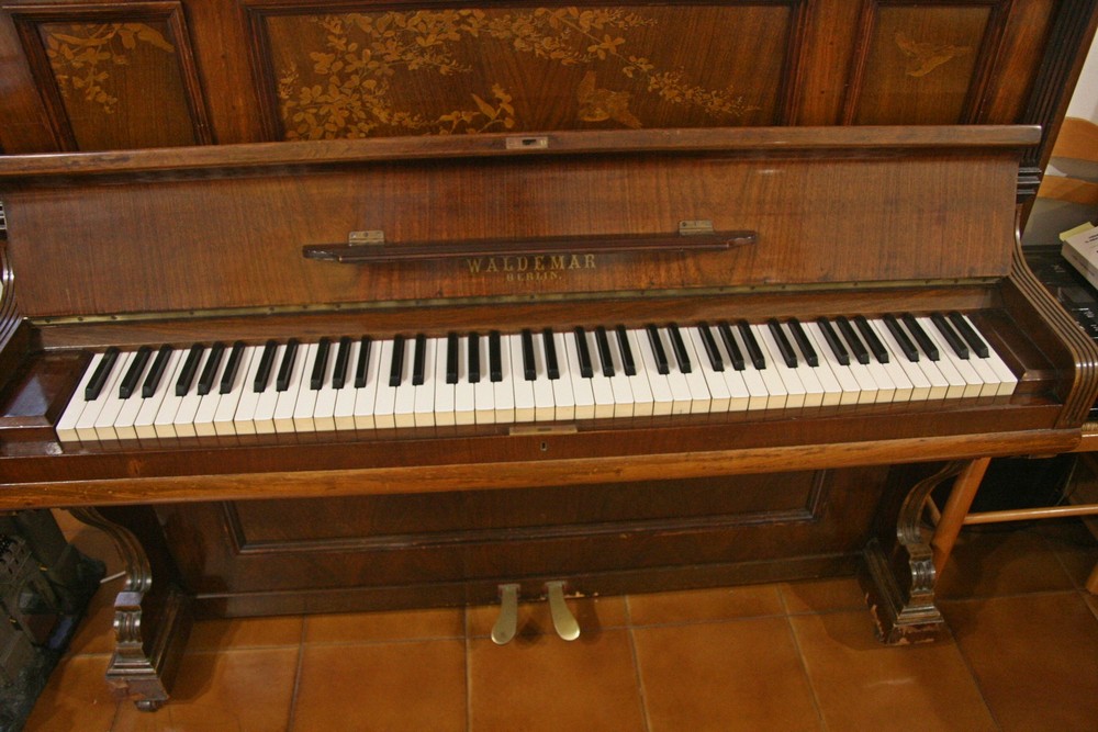 Allegato