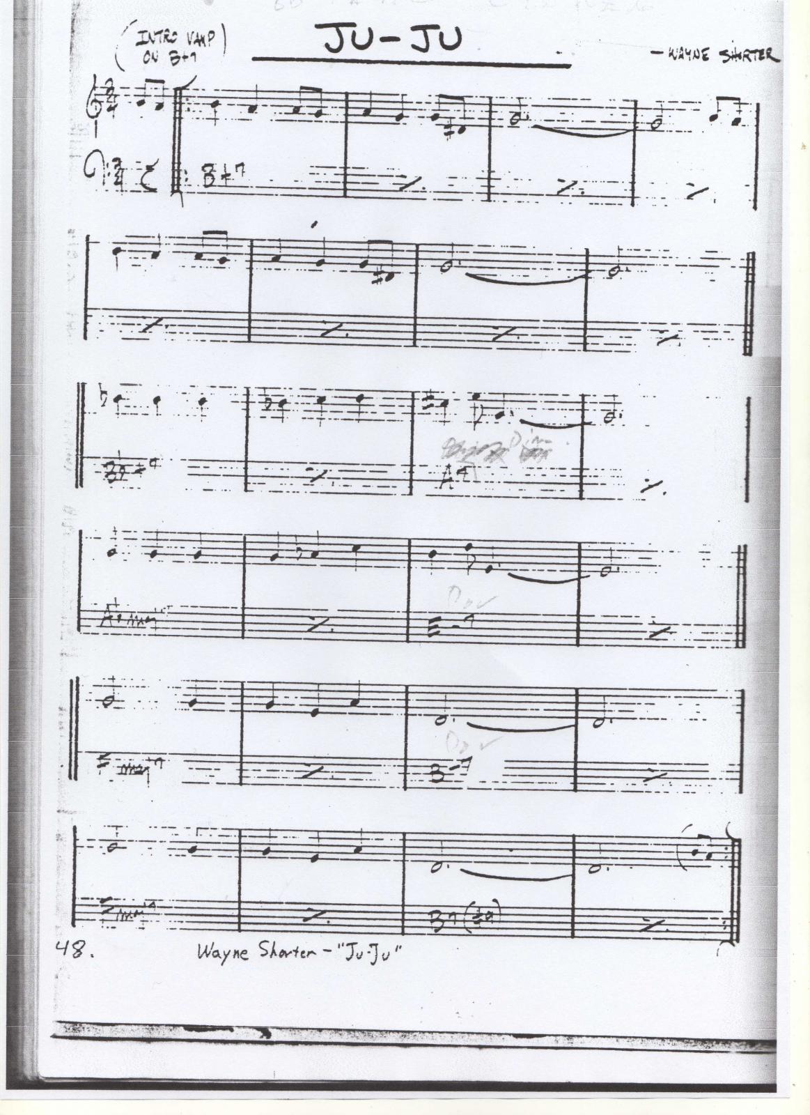 Allegato