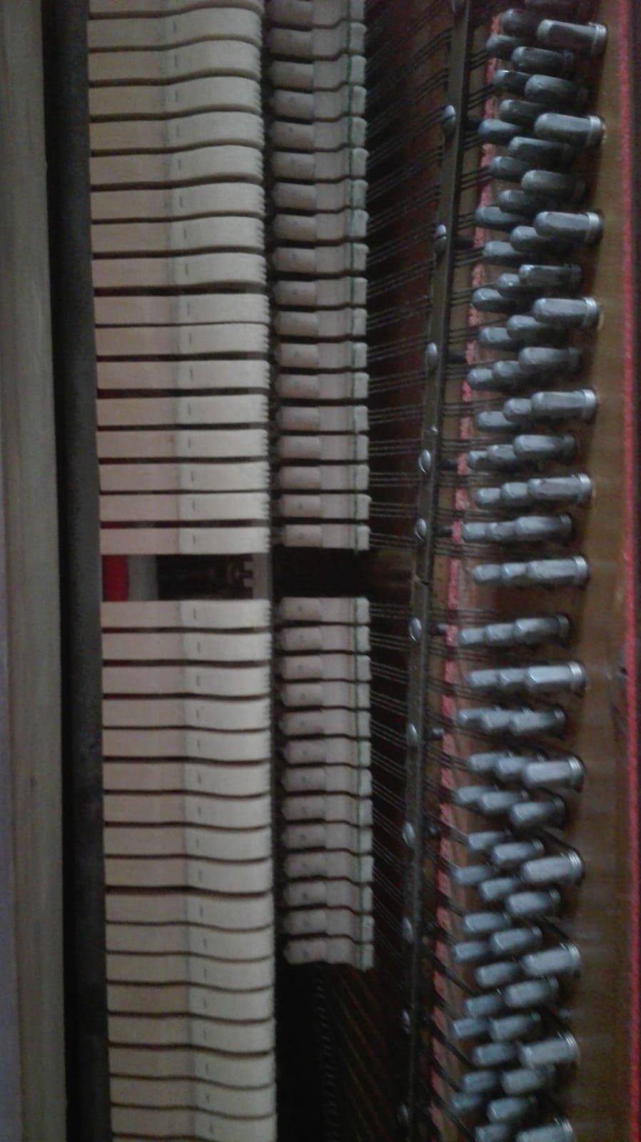 IMG-20190105-WA0011.jpg