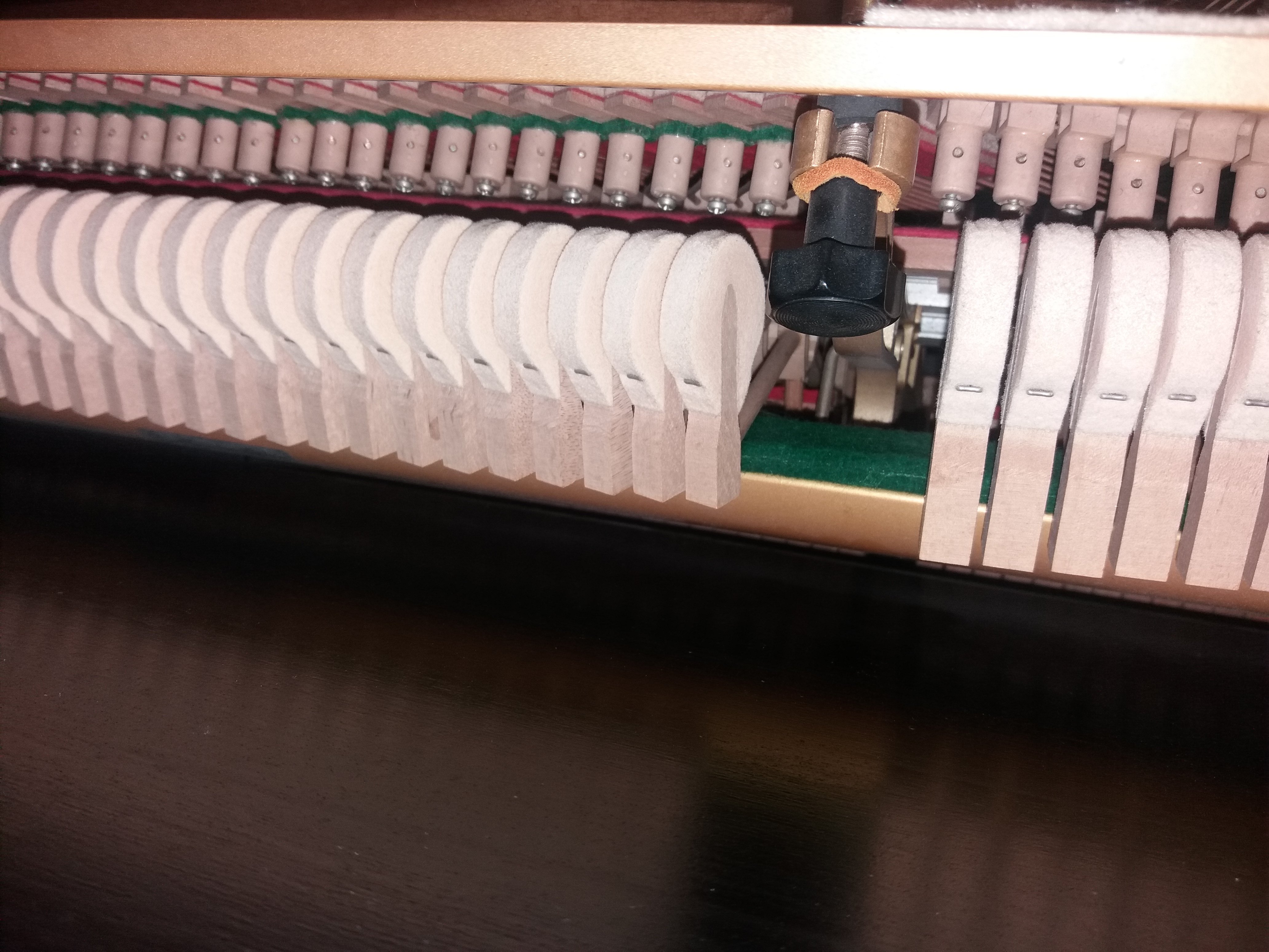 20200502_124152.jpg