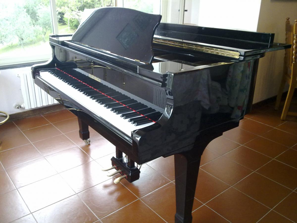 Allegato