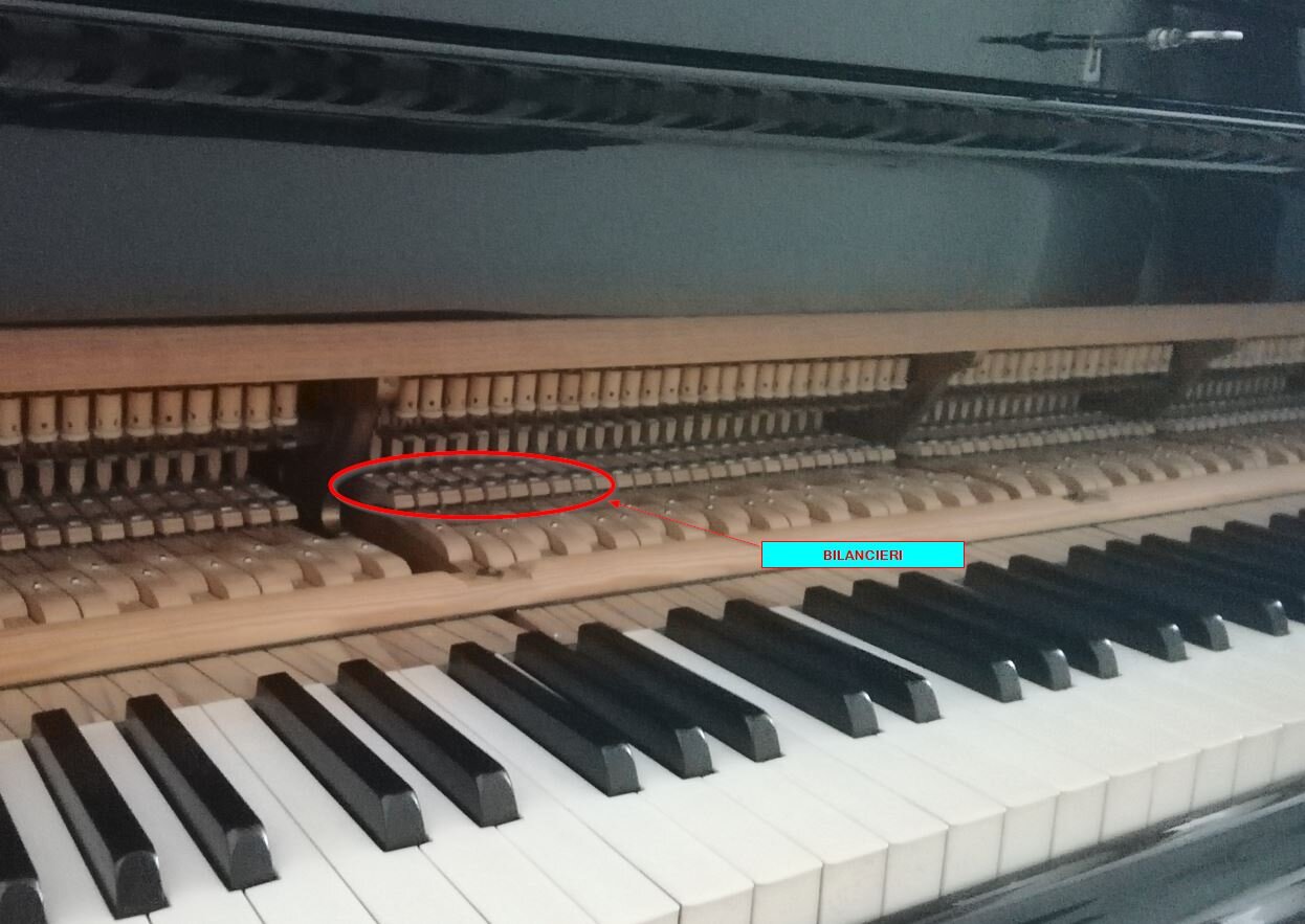 Langer_Coda_Bechstein.jpg