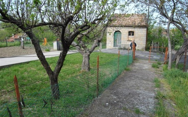 Allegato