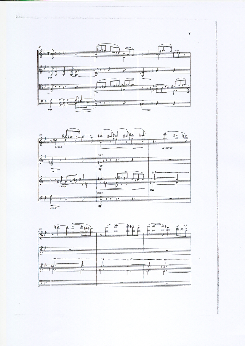 Allegato
