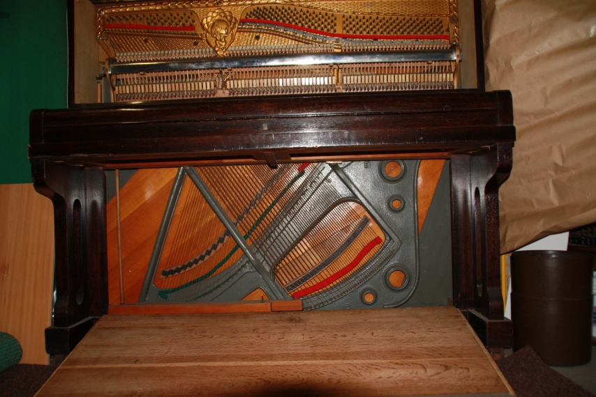 Allegato