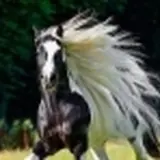 Avatar di pianoangel